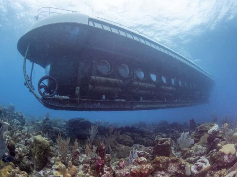 From Bridgetown: Scenic Boat and Submarine Tour - Authentic Insights from Reviews