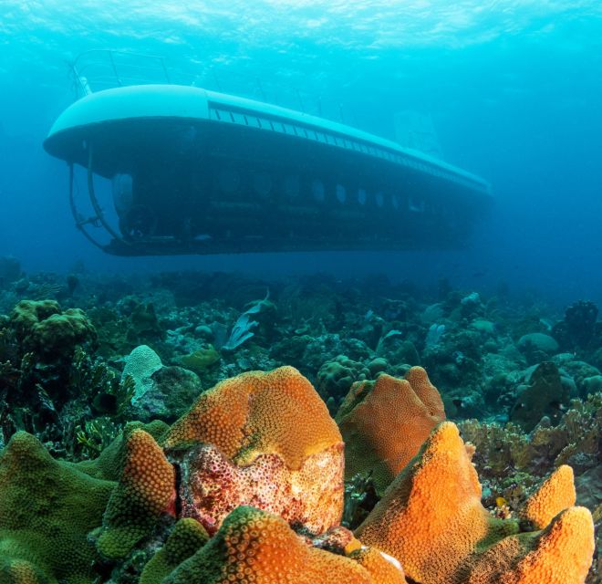 From Bridgetown: Scenic Boat and Submarine Tour - Government Tax and Check-in
