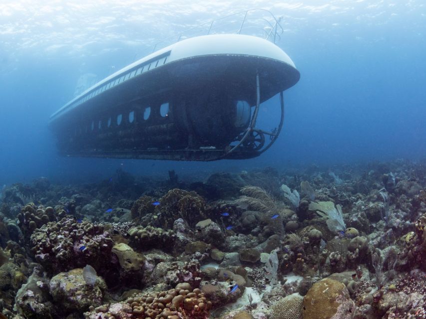 From Bridgetown: Scenic Boat and Submarine Tour - Frequently Asked Questions
