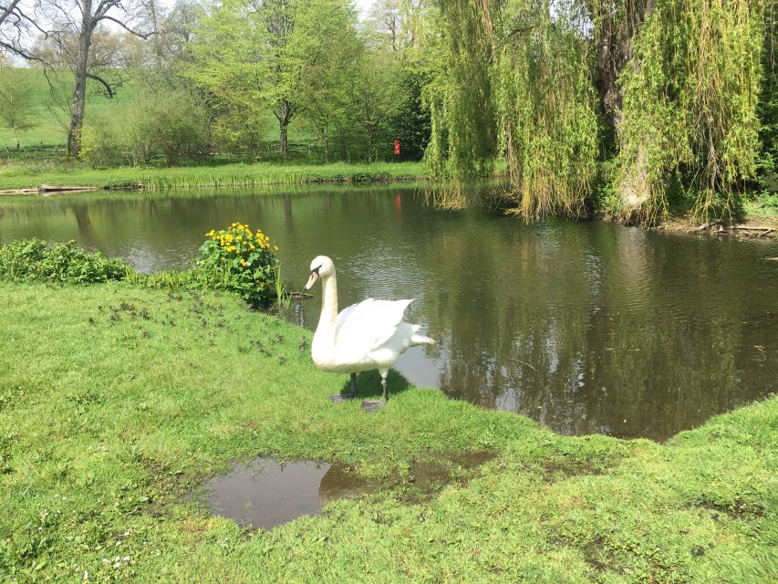 From Brighton: Leeds Castle & Canterbury Full-Day Trip - Customer Feedback