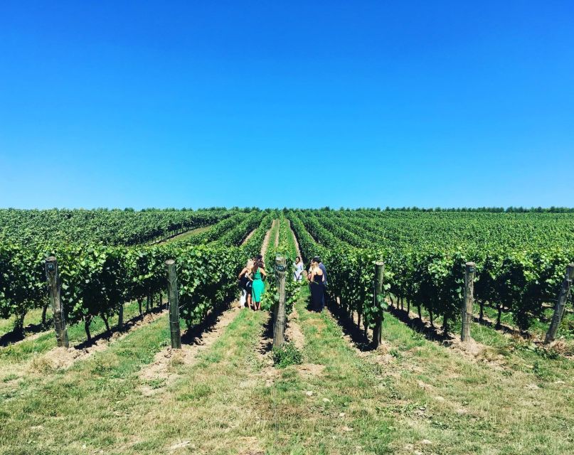 From Brighton: Sussex Wine Tour on a Vintage Bus With Lunch - Important Information