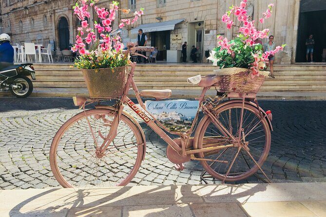 From Brindisi. Ostuni, Alberobello and Polignano a Mare Tour - Final Thoughts