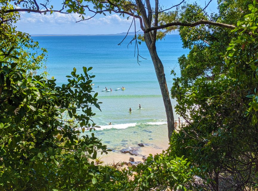 From Brisbane: Day Trip to Noosa, Eumundi Markets - Inclusions