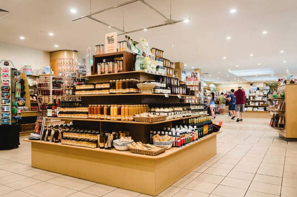 From Brisbane: Day Trip to Noosa, Glass House Mtns and Zoo - Itinerary