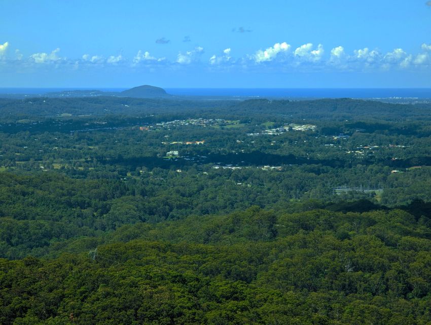 From Brisbane: Day Trip to Noosa, Glass House Mtns and Zoo - Frequently Asked Questions