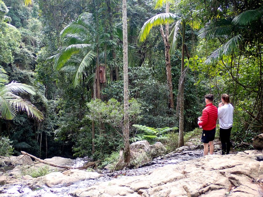 From Brisbane: Maiala Rainforest Private Tour - Booking Information