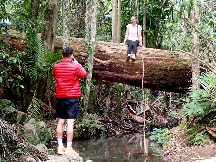 From Brisbane: Maiala Rainforest Private Tour - Recap