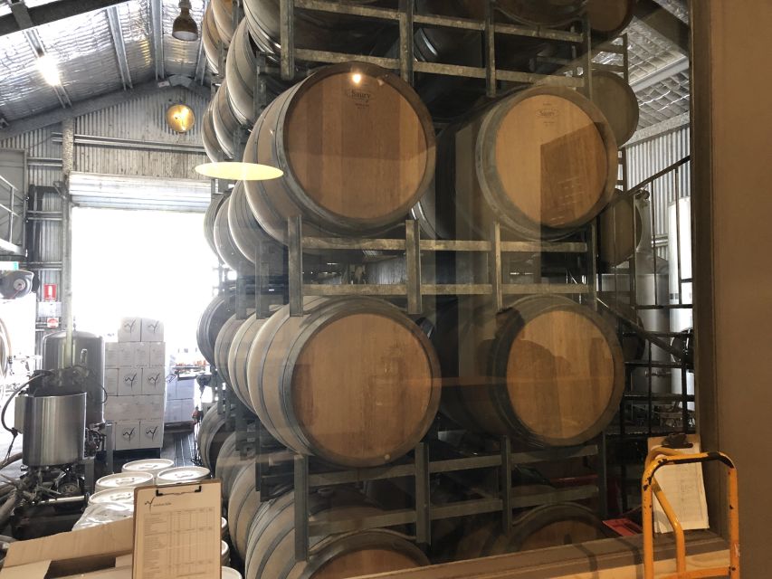 From Brisbane: Mount Tamborine Wine Tour With Gourmet Lunch - Activity Description