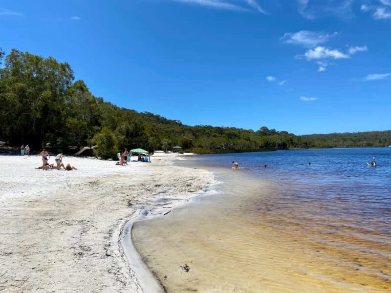From Brisbane: North Stradbroke Island Wildlife Adventure - Lunch at Point Lookout: Rest and Recharge