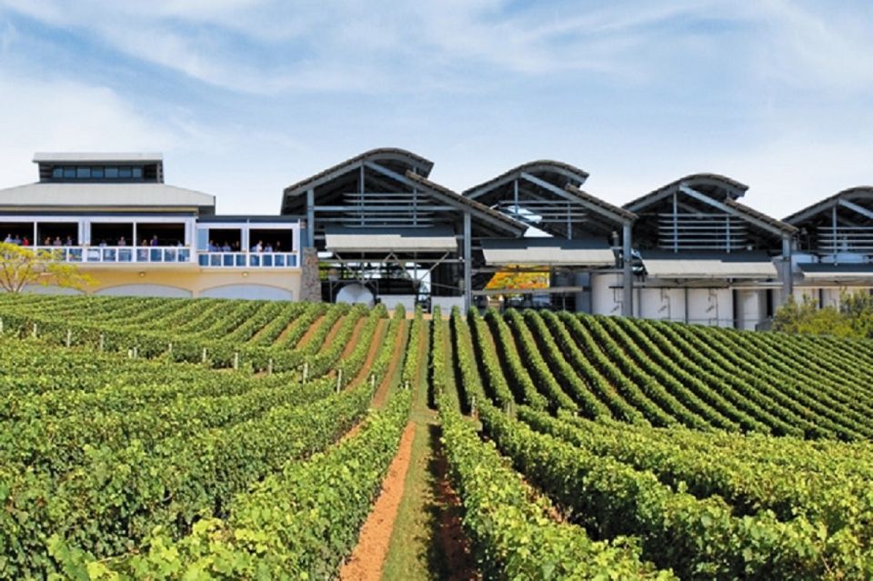From Brisbane or Gold Coast: Sirromet Winery Half-Day Out - Experience Description