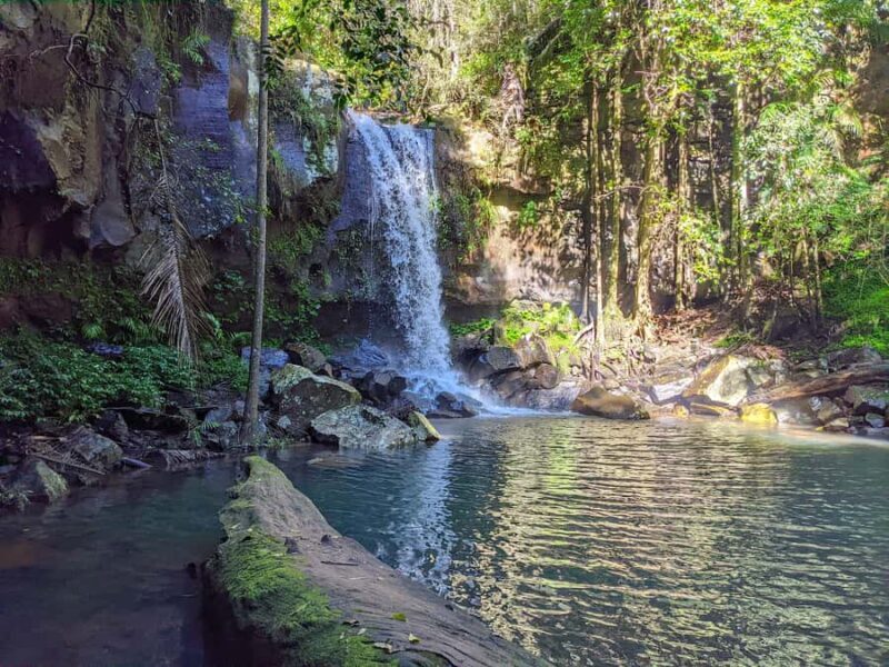 From Brisbane: Tamborine Mountain and Paradise Point Tour - The Value of This Experience