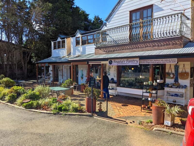 From Brisbane: Tamborine Mountain and Paradise Point Tour - Who Is This Tour Best Suited For?