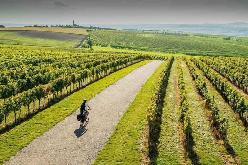 From Brno: Moravian Tuscany E-Bike Tour with Wine Tasting - Introduction