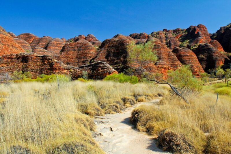From Broome: Bungle Bungle Explorer Scenic Flight - Up Close with the Beehives and Cathedral Gorge