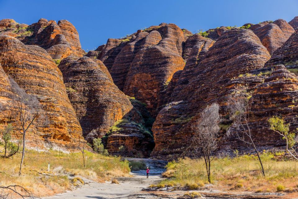 From Broome: Bungle Bungle Explorer Scenic Flight - Price and Duration Details