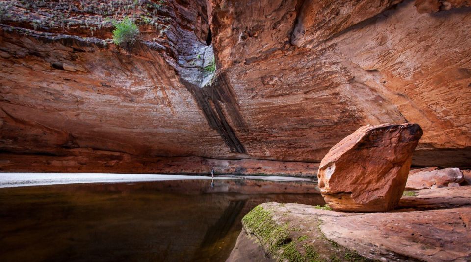 From Broome: Bungle Bungle Explorer Scenic Flight - Group Size and Language Information