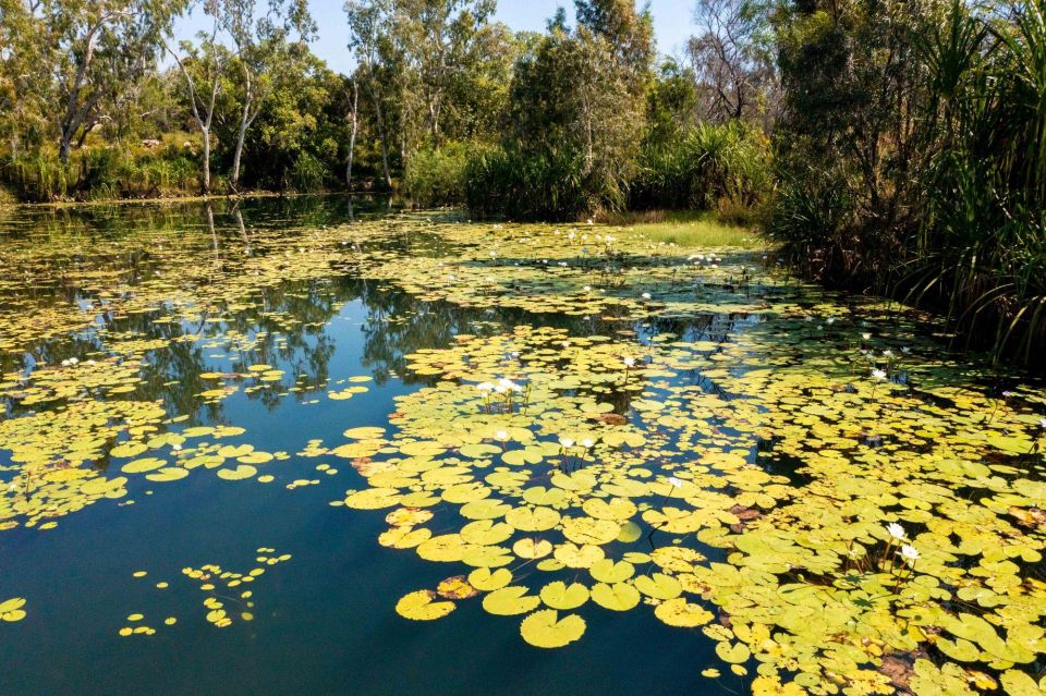 From Broome: Mitchell Falls Scenic Flight - Dry Season - Recommended Items