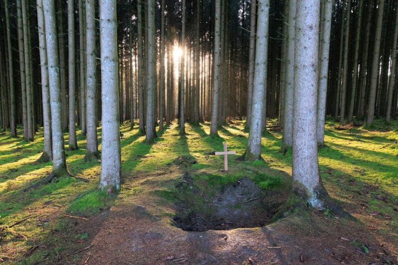 From Brussels: Battle of the Bulge 80th Birthday Day Trip - Final Thoughts
