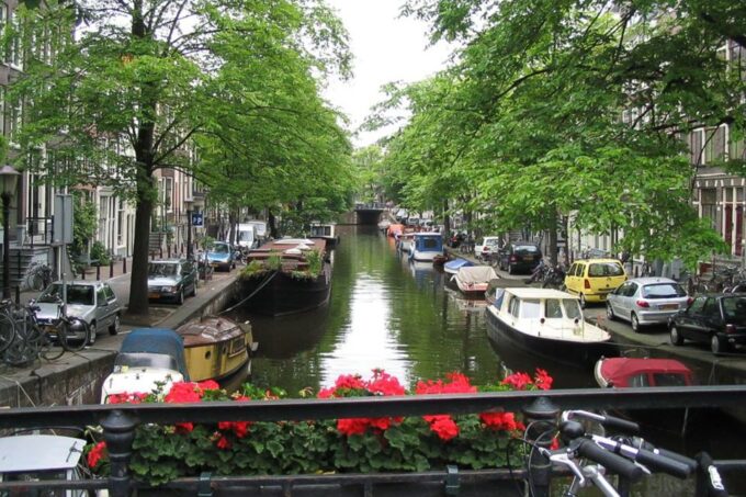 From Brussels: Cheese, Clogs & Windmills Amsterdam Day Trip - Customer Reviews