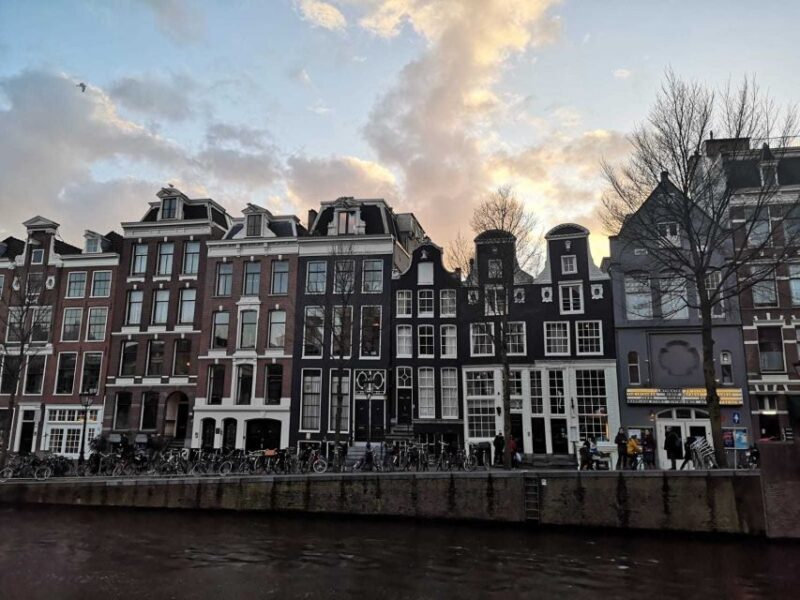 From Brussels: Day Trip to Amsterdam with Canal Boat Cruise - Who Should Consider This Tour?