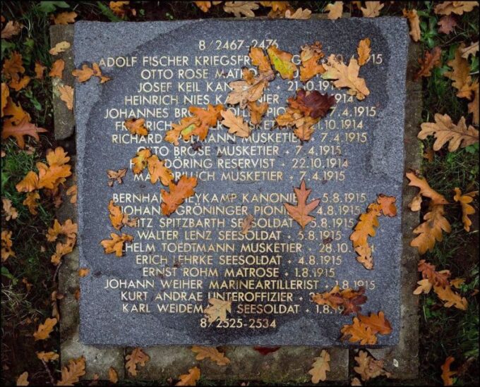 From Brussels: Flanders Fields Remembrance Full-Day Trip - Participant Considerations