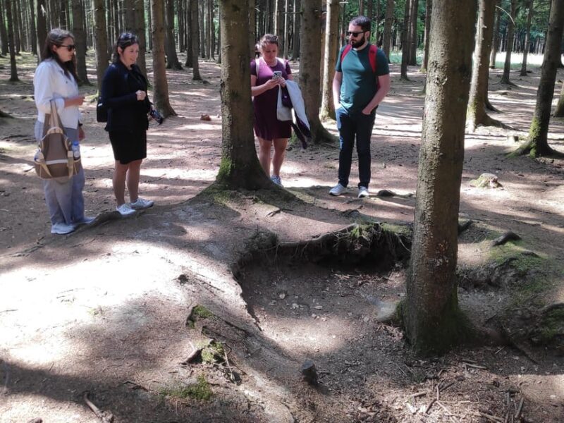 from Brussels: Historic Battle of the Bulge Sites Tour - FAQ