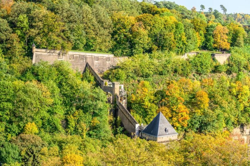 From Brussels: Luxembourg City Day Trip with Private Guide - Who Would Love This Tour?