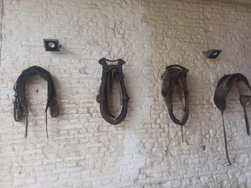 "From Brussels: Waterloo Battlefield History Private Tour - Final thoughts