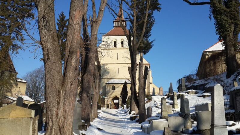 From Bucharest: 3-Day Best of Romania Private Tour - Day 2 Highlights