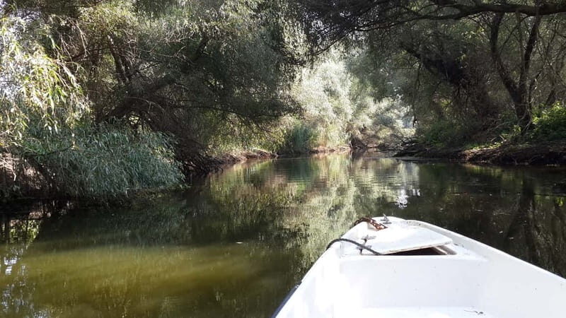 From Bucharest: 3-Day Danube Delta Birdwatching Private Tour - Pricing and Value