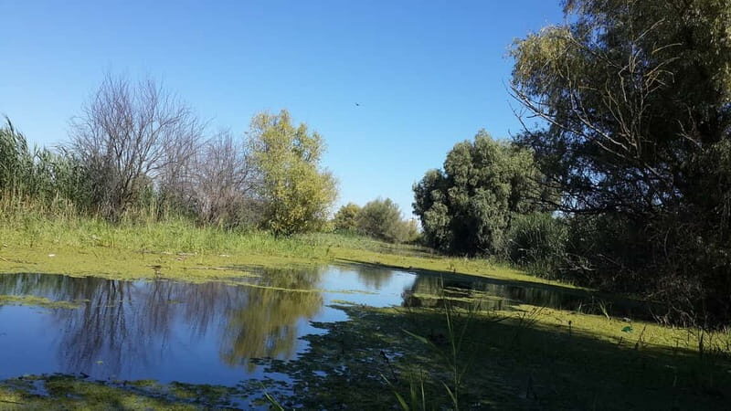 From Bucharest: 3-Day Danube Delta Birdwatching Private Tour - Final Thoughts
