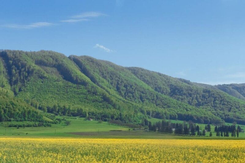 From Bucharest: Bear Sanctuary and 7 Ladders Canyon Day Trip - Practical Tips for Participants