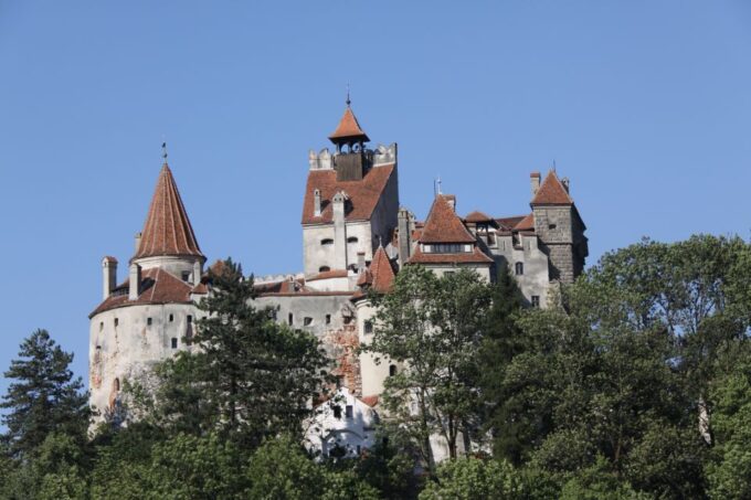 From Bucharest: Bear Sanctuary and Dracula Castle Day Tour - Frequently Asked Questions