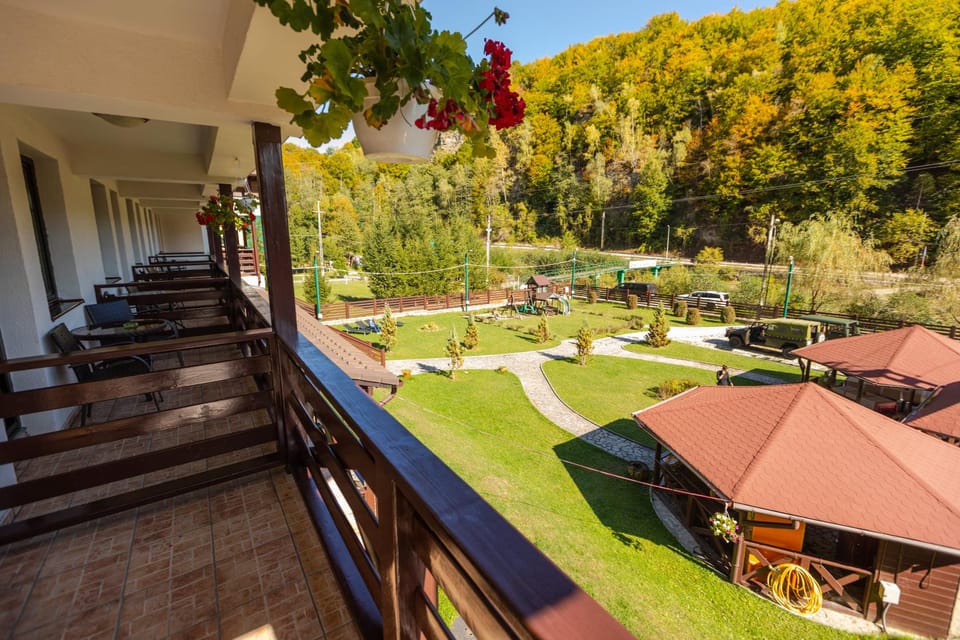 From Bucharest: Brdetu 4x4 Tour with Lunch, Hotel Pick-Up - Exploring the Day in Detail