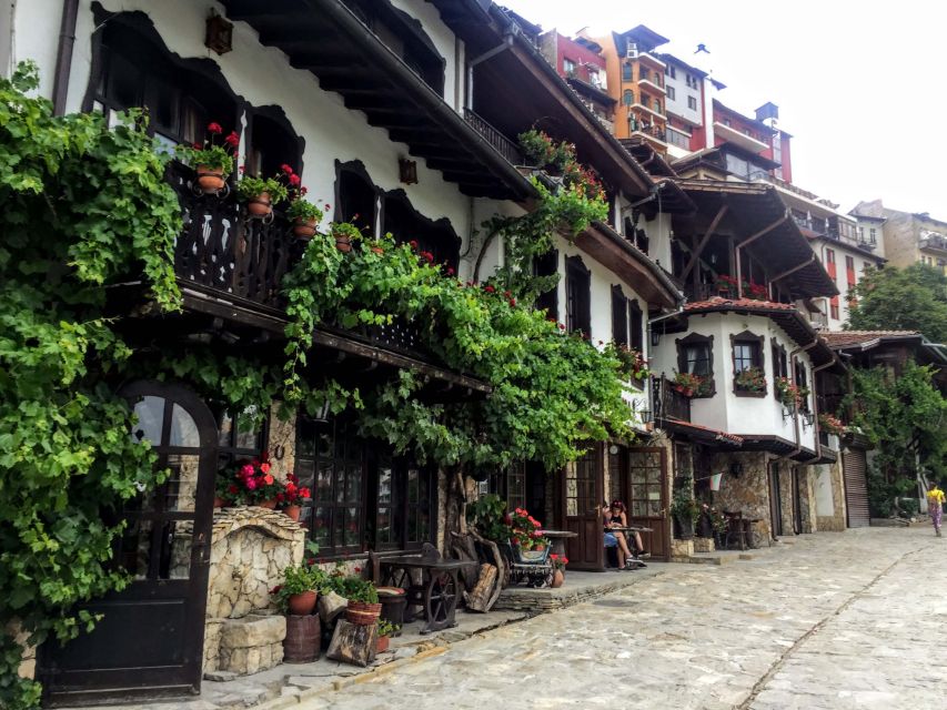 From Bucharest: Bulgaria Private Day Trip with Guide - Key Points