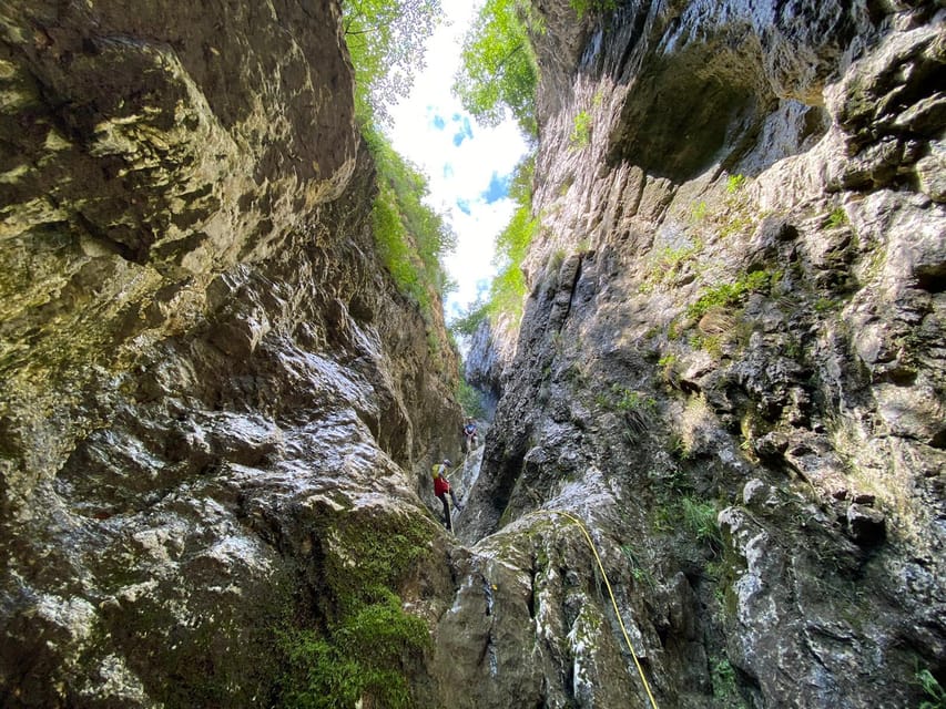 From Bucharest: Canyoning at Oratii Gorge - What Makes the Experience Special?