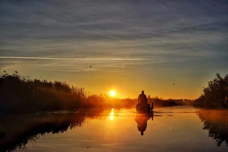 From Bucharest: Danube Delta Private Day Trip with Boat Tour - Why This Tour Is Ideal for You
