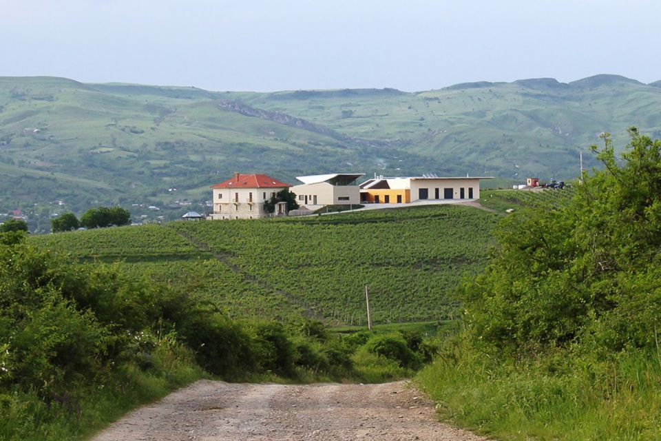 From Bucharest: Exclusive Dealu Mare Wine Tasting Tour - Final Thoughts