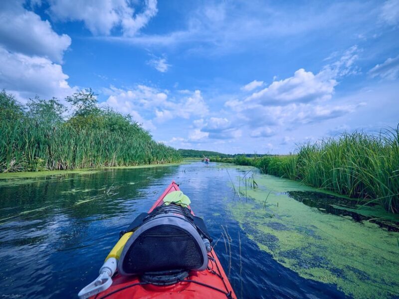 From Bucharest: Neajlov River Kayaking Adventure - An In-Depth Look at the Neajlov River Kayaking Tour
