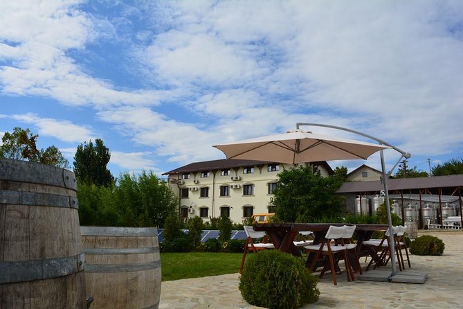 From Bucharest: Private Wine Tasting Tour in Dealu Mare Wineland - Wines and Wineries