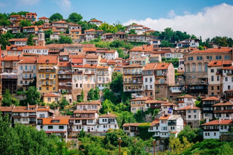 From Bucharest: Small Group Day Trip to Medieval Bulgaria - Pricing and Payment Options