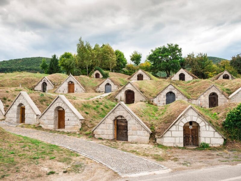 From Budapest: Tokaj Wine Tour with Tasting and Lunch - What the Tour Entails: A Deep Dive into the Itinerary