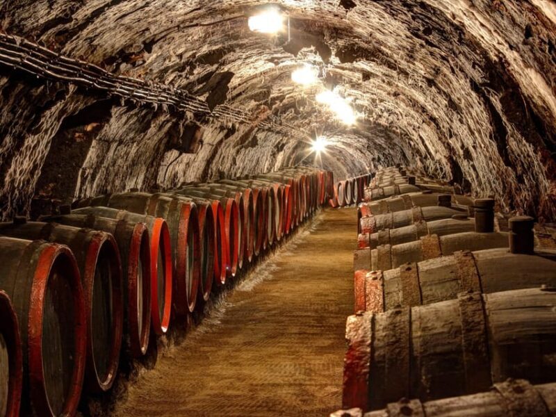 From Budapest: Tokaj Wine Tour with Tasting and Lunch - Practical Notes