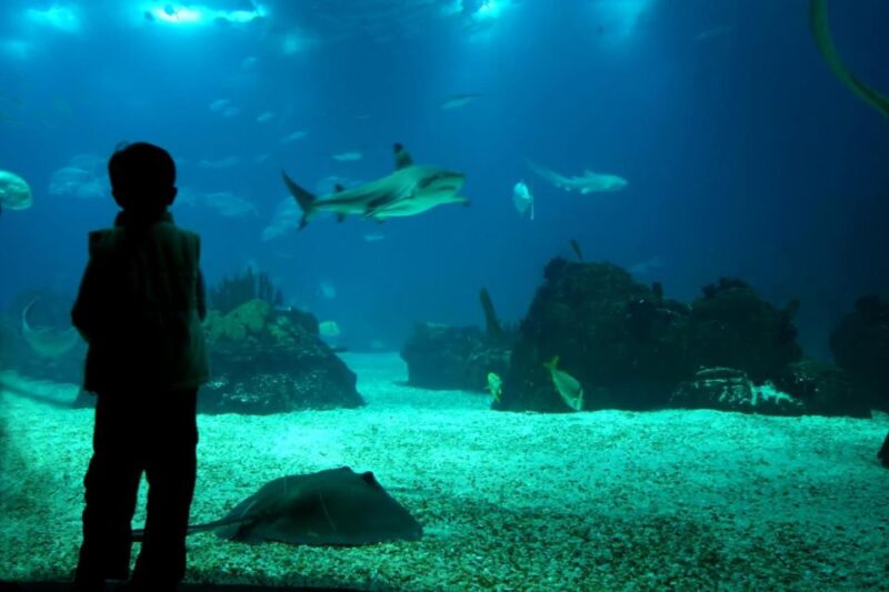 From Buenos Aires: Temaiken Zoo Tour With Ticket Included - Inclusions and Amenities