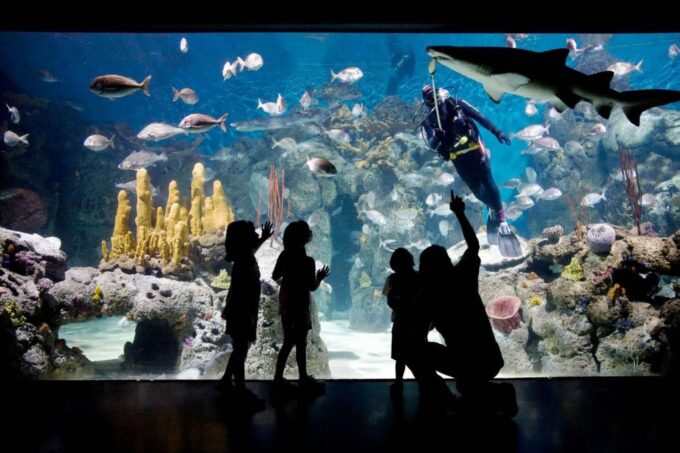 From Buenos Aires: Temaiken Zoo Tour With Ticket Included - Nearby Attractions