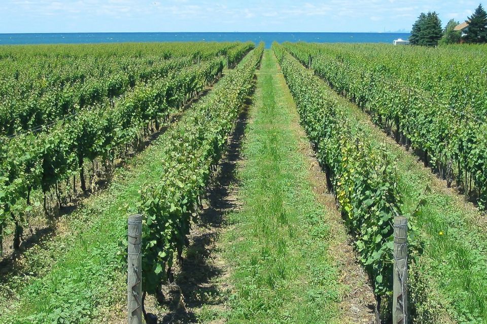 From Buffalo: Customizable Private Day Trip to Niagara Falls - Frequently Asked Questions