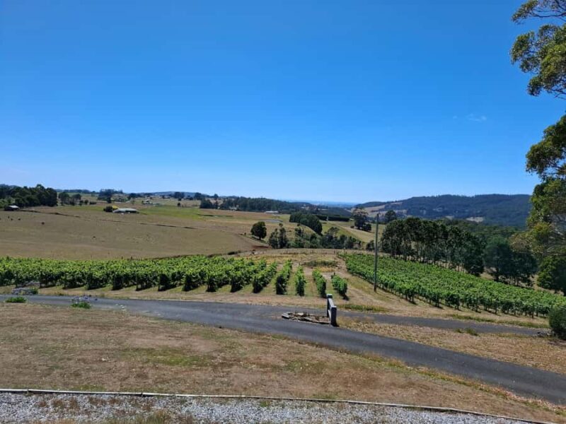 From Burnie: Tasting Trail Tour - FAQ