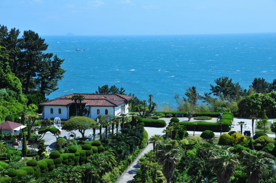 From Busan: Enchanting Oedo Botania Day Tour With Wind Hill - Key Points