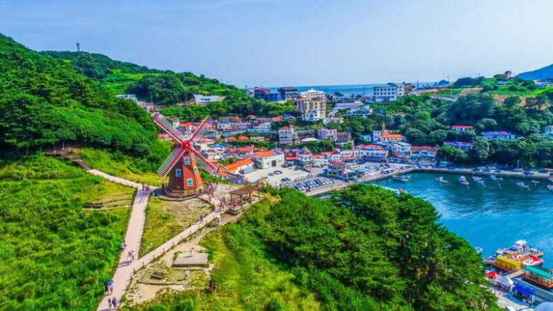 From Busan: Enchanting Oedo Island Day Tour with Windy Hill - Key Points