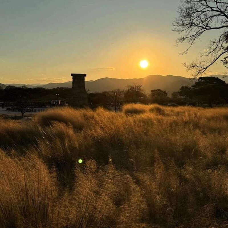 From Busan: Full-Day Private Yangdong village Gyeongju Tour - Discovering Gyeongju: A City Steeped in History